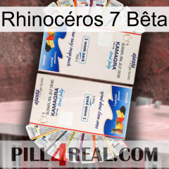 Rhinocéros 7 Bêta kamagra1